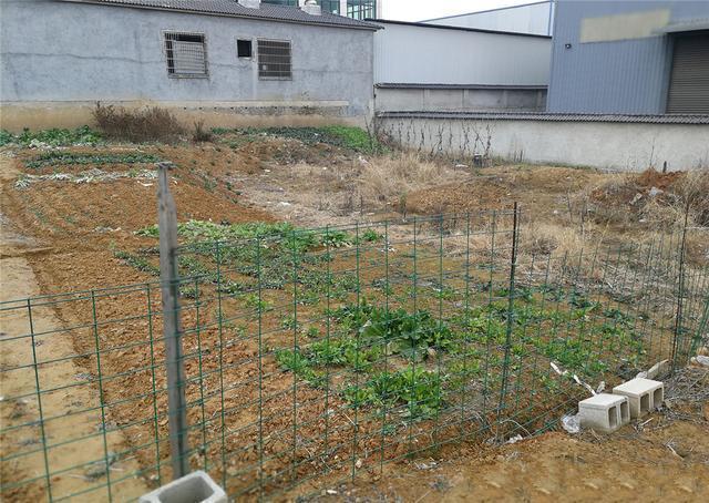 农村自建别墅 农村自建别墅