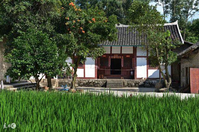 农村自建住宅 农村自建住宅