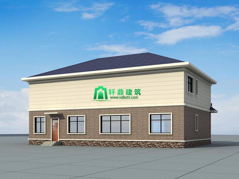 背面图 背面图