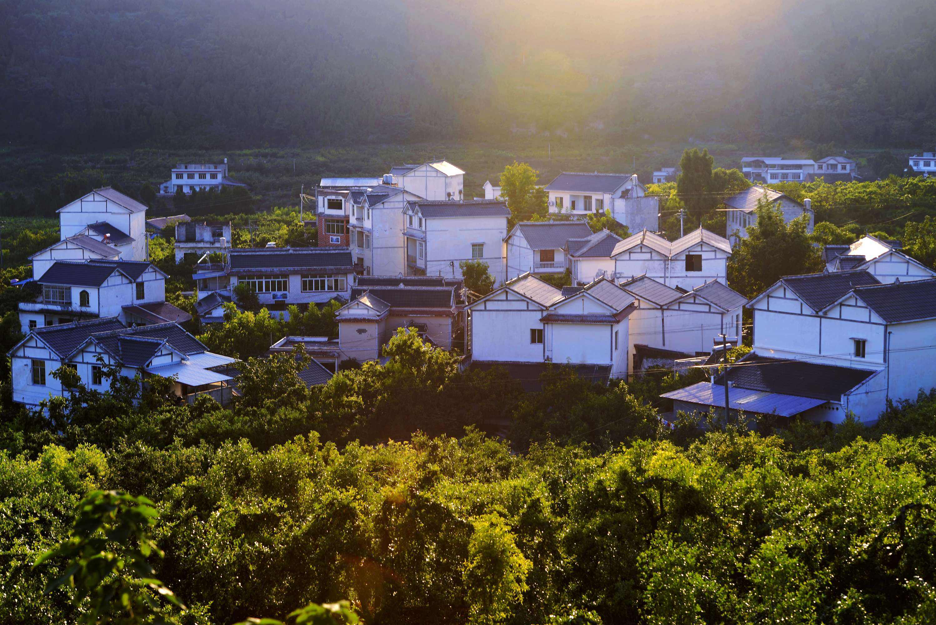 乡村美景.jpeg 乡村美景.jpeg
