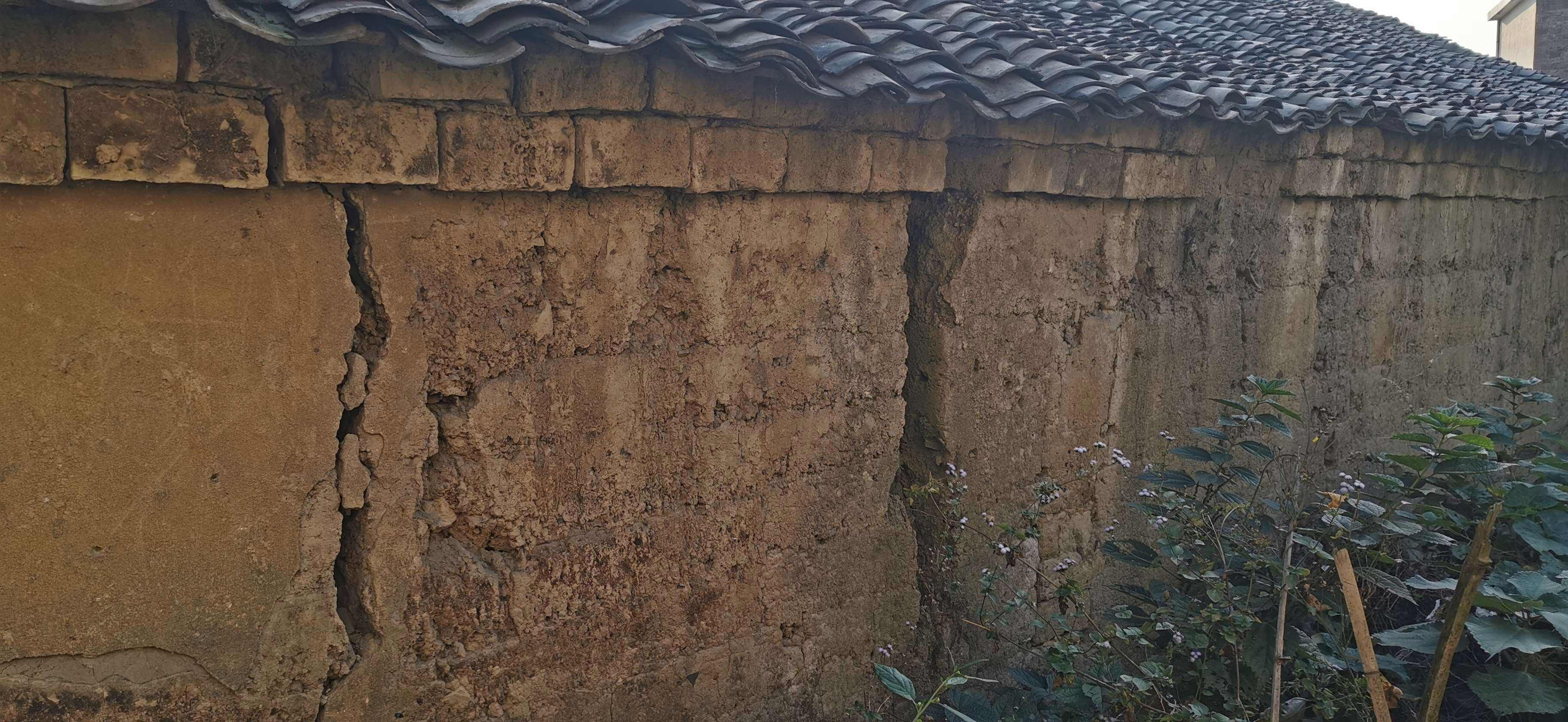 Σı׼ʲô.jpeg