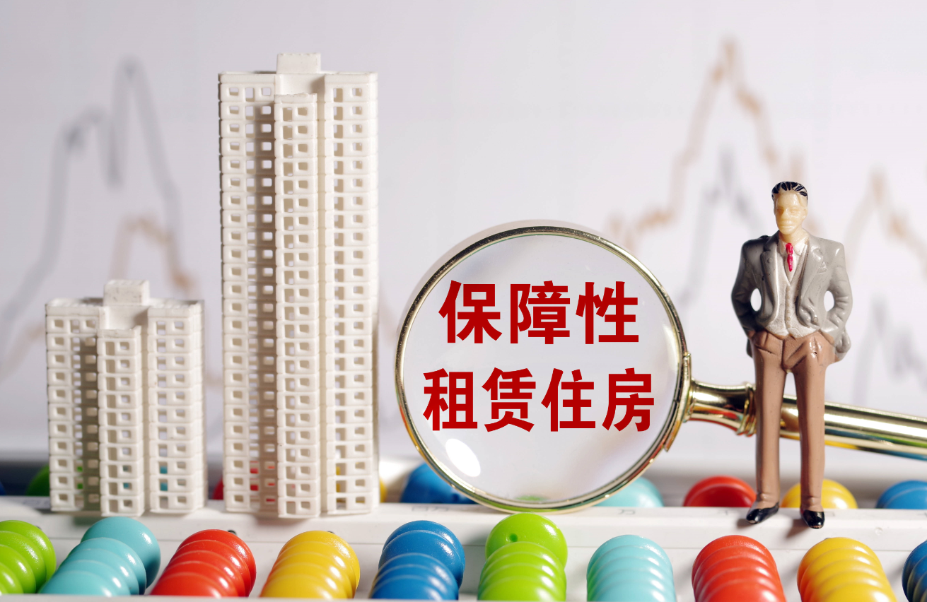 保障性住房中的方针性租借房.png 保障性住房中的方针性租借房.png