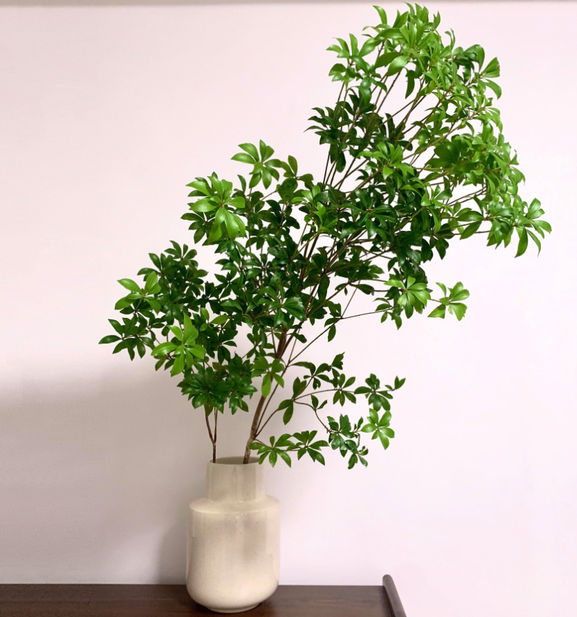 ʺֲﻨ (3).png