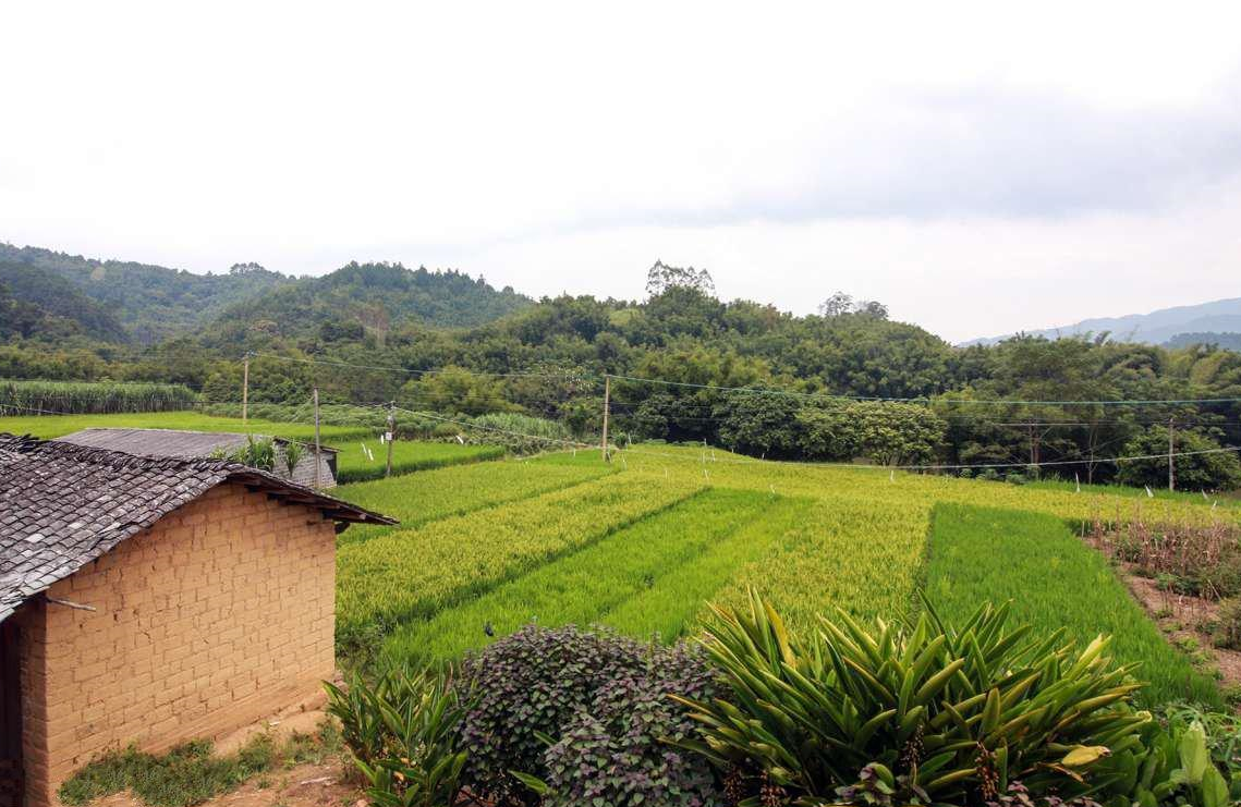 农村土地买卖合同是否有效 (2).png 农村土地买卖合同是否有效 (2).png
