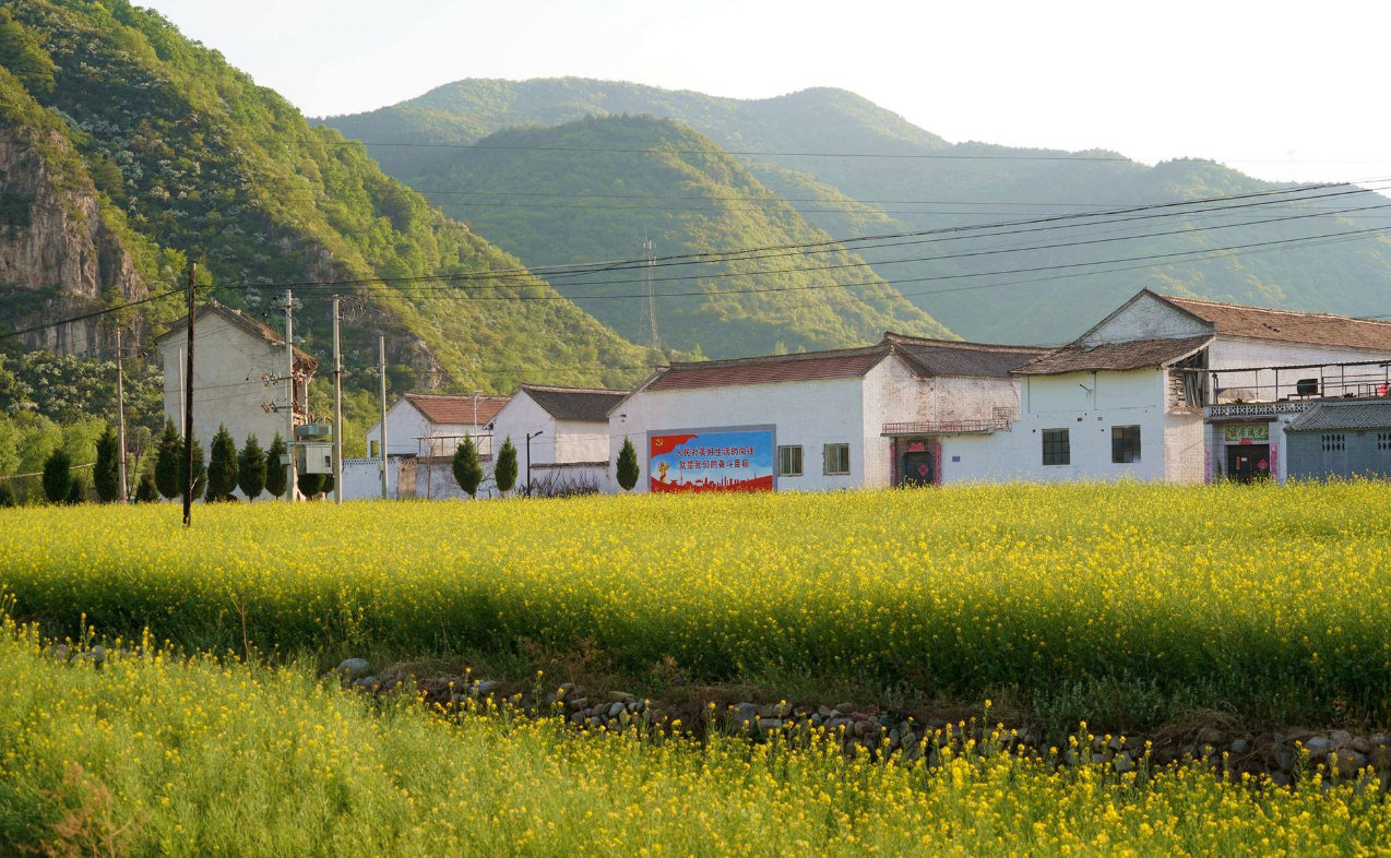 农村买卖土地合不合法 (2).png 农村买卖土地合不合法 (2).png