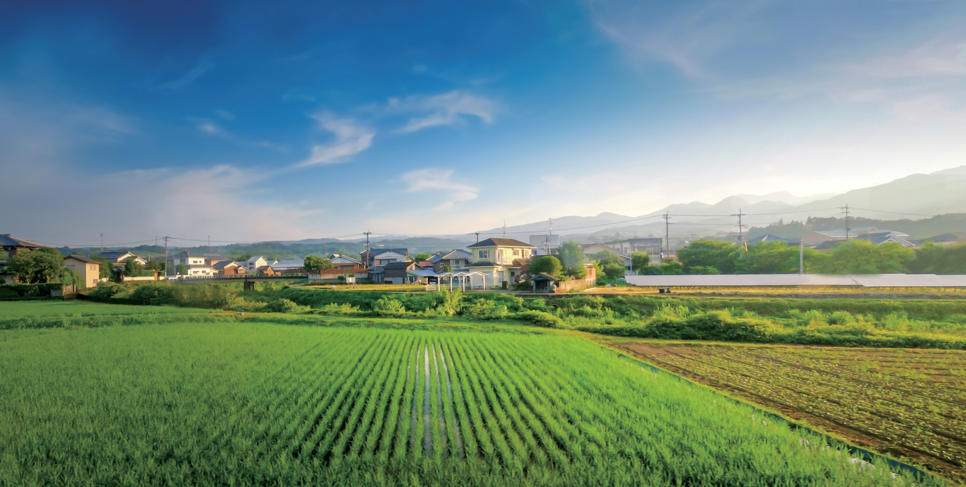 农村自建房很怵这4点.png 农村自建房很怵这4点.png