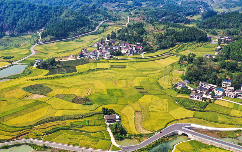 家居风水不好如何化解 (1).png 家居风水不好如何化解 (1).png