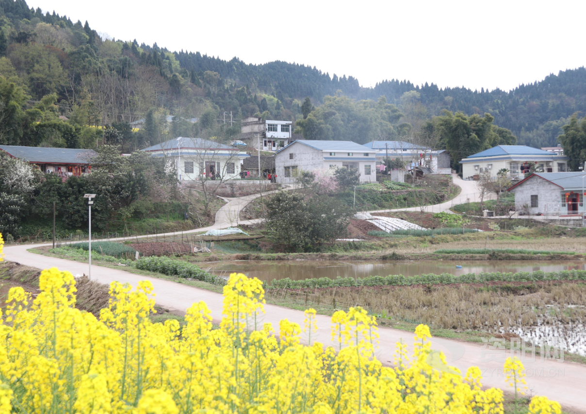 农村自建房面积超了怎么办呢 (2).png 农村自建房面积超了怎么办呢 (2).png